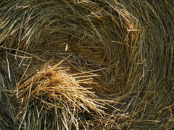 Hay Bale Texture