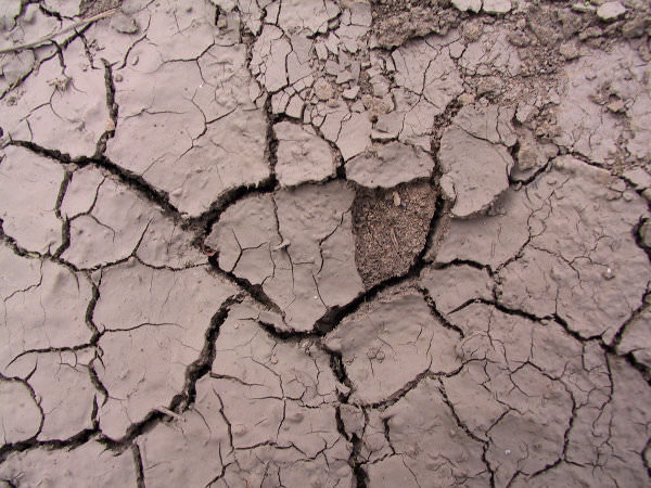 High Res Cracked Mud Texture for Photoshop