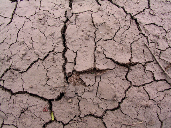 High Res Cracked Mud Texture