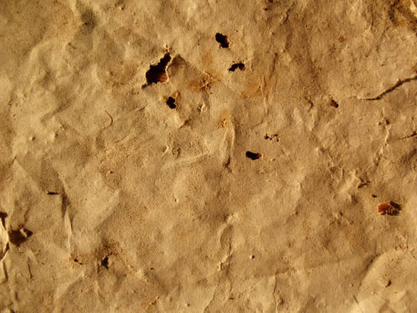 High Res Dirty Pulp Grunge Paper Textures