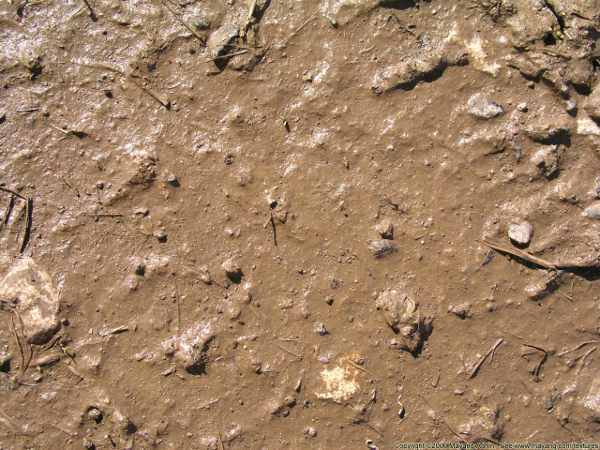 High Res Soft Mud Texture