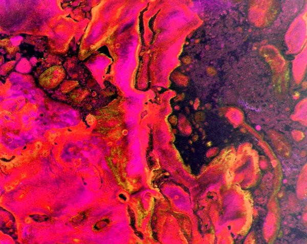 Swirled Pink Marbled Paper Texture