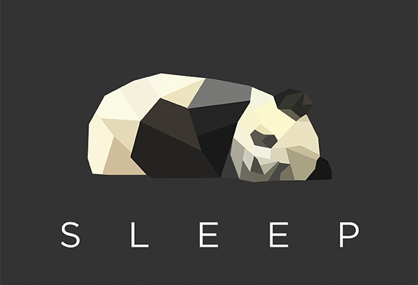 geometric-Panda-Logo-Design