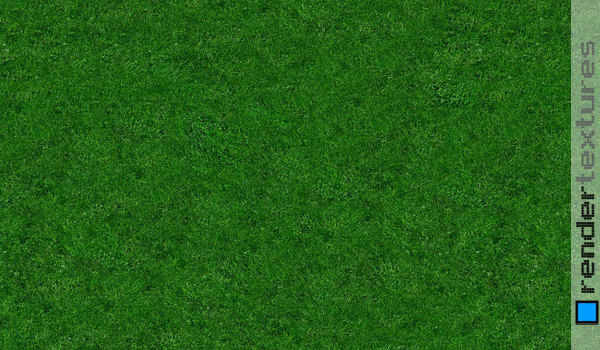 high quality grass texture seamless