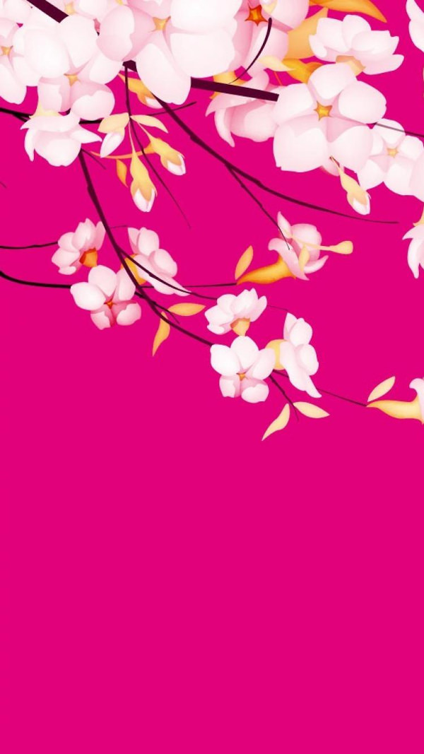 Beautiful Flowers on Pink iPhone Background