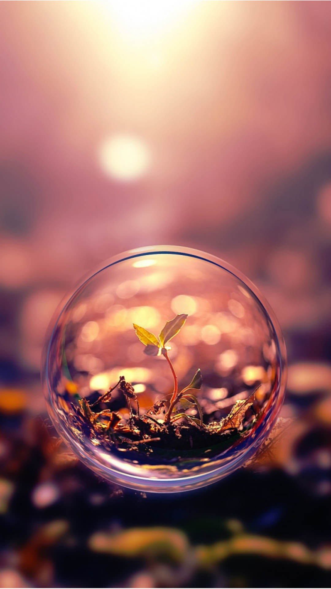 Beautiful Vintage Micro Photography Water Bubbled iPhone Wallpaper