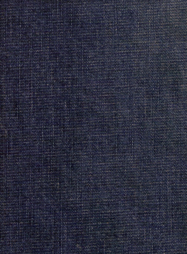 Blue Jean Clothing Texture