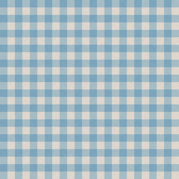Blue and White Table Cloth Texture