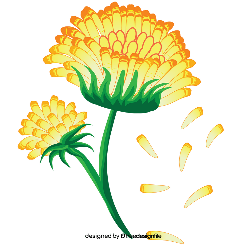 Cute Dandelion Clipart Brushes