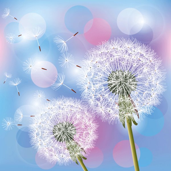 Dandelion Design Elements Vector Free Download Brushes