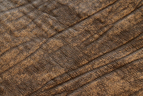 Download Free Brown Leather Texture