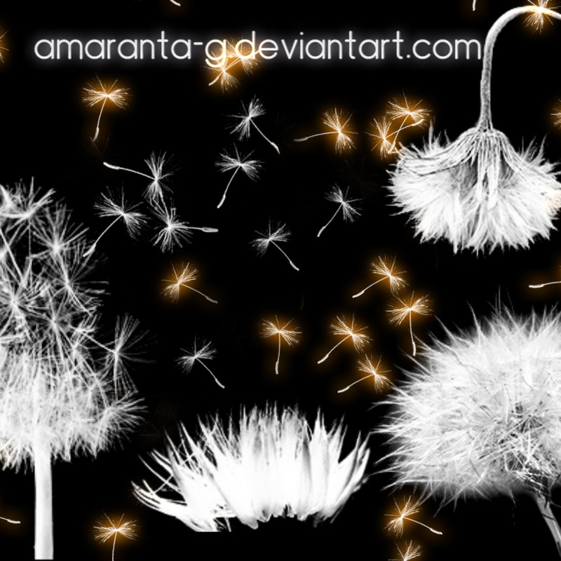 Download Free Dandelion Brushes