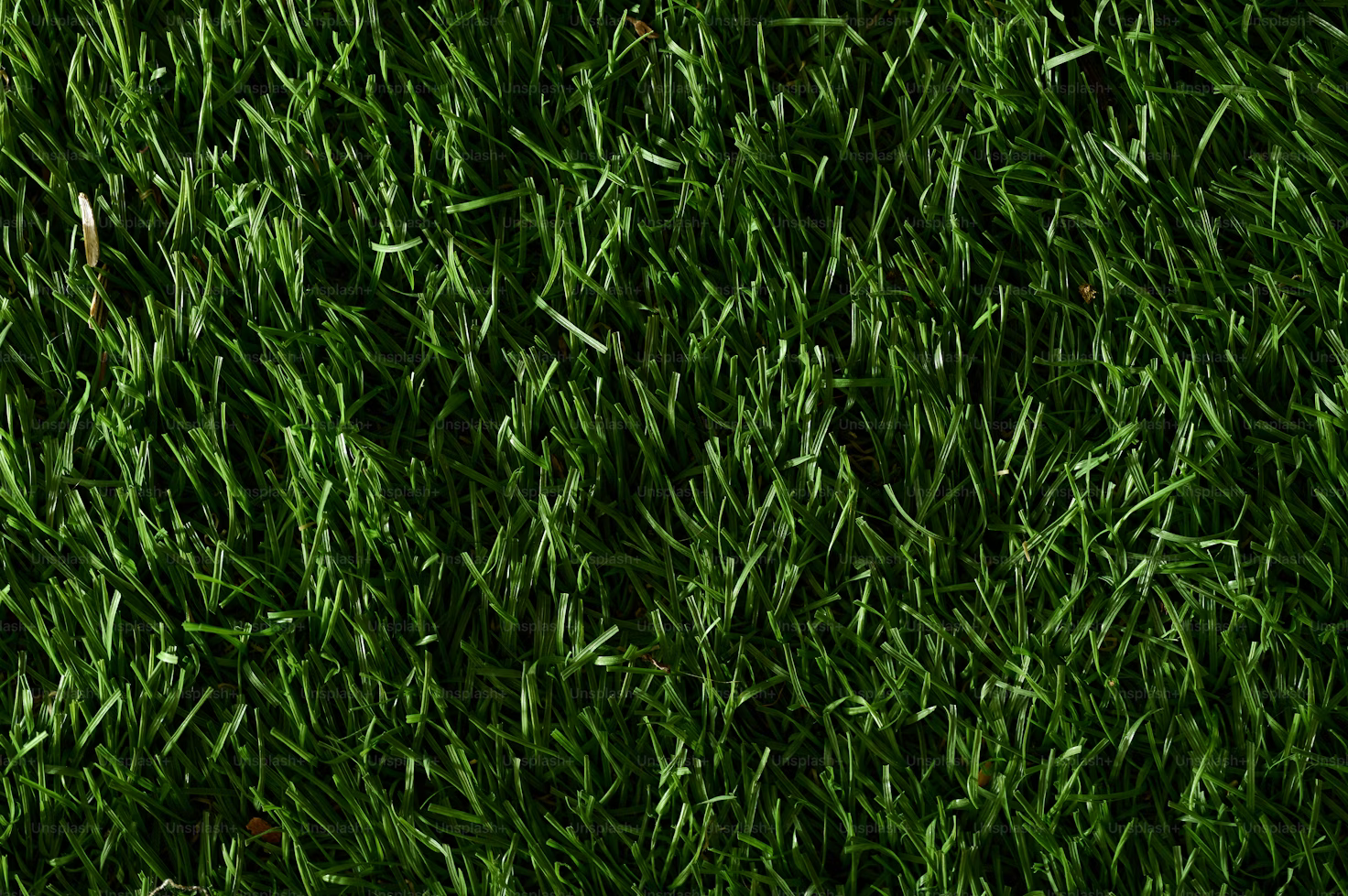 Download Free High Resolution Grass Texture