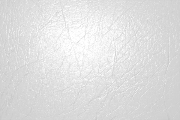 Download Free White Leather Texture