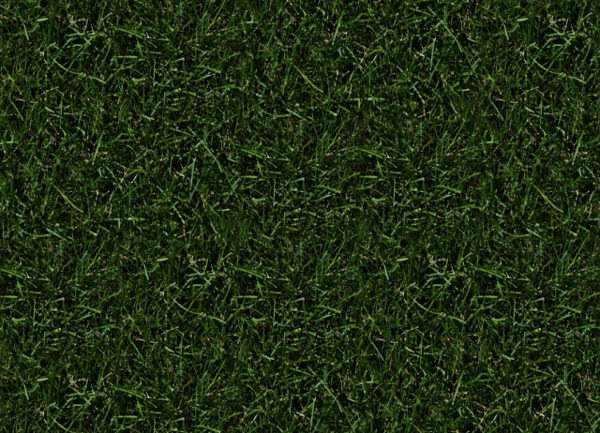 dark grass texture seamless