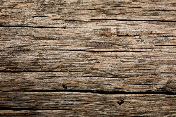 Dry Old Wood Texture