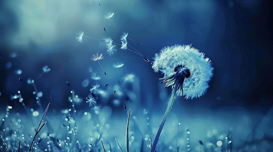 Ethereal Dandelion Wishes Brushes