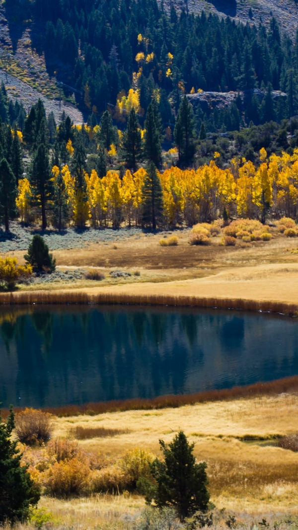 Free Autumn Lake iPhone Background