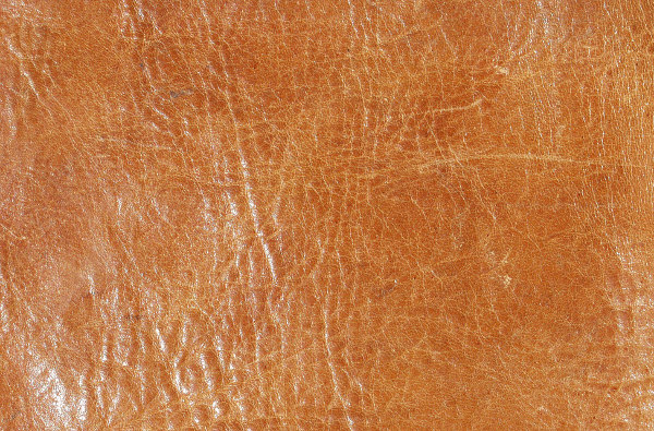 Free Bright Brown Leather Texture