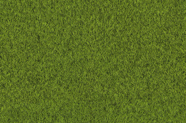 seamless grass texture tiles