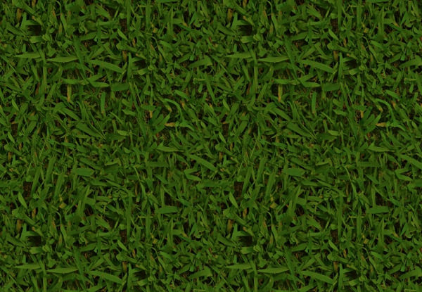 16+ Free Tileable Grass Texture  FreeCreatives