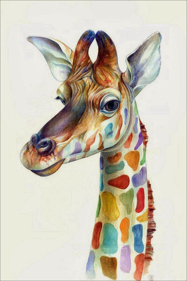 Friendly Giraffe Art Illust iPhone 4s Background