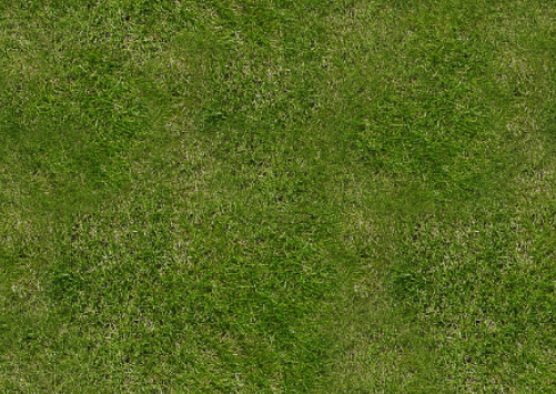 Grass Seamless Texture For Free