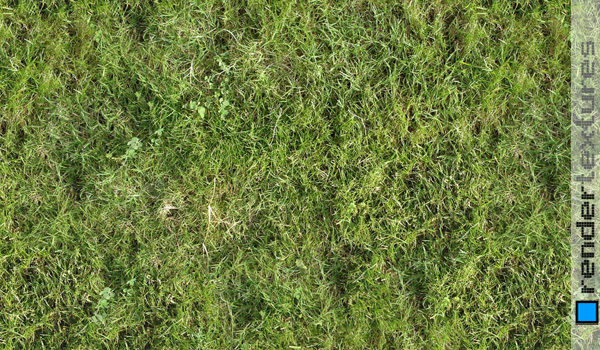 Grass Tileable Texture Free Download