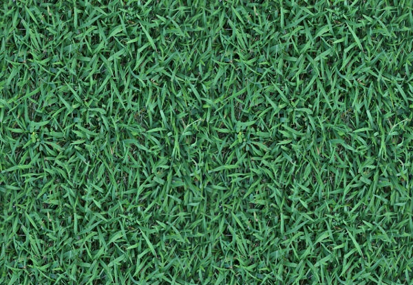 High-Quality Seamless Grass Textures for Design Projects - LotPixel