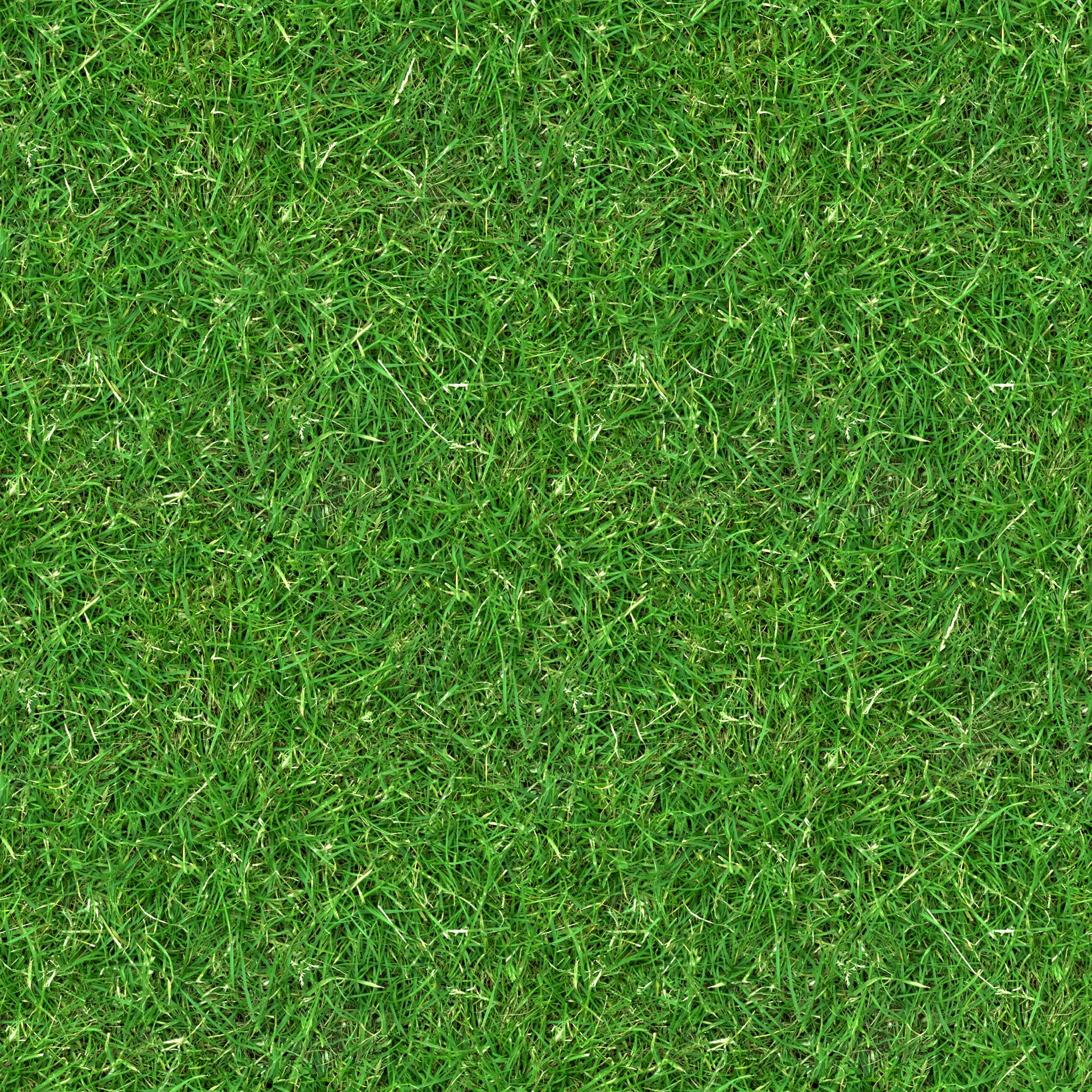 High Resolution Free Grass Texture