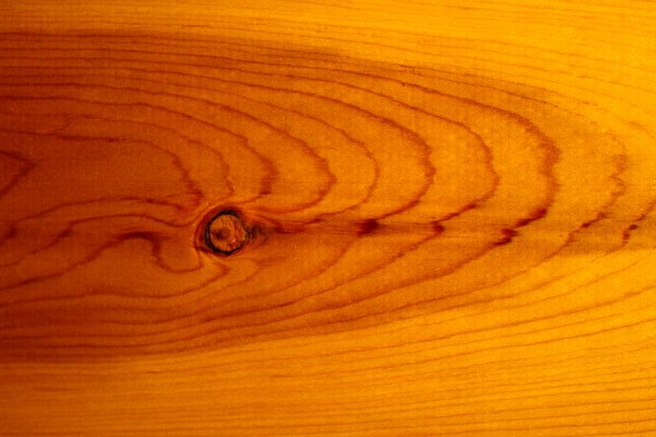 Knotty Pine Wood Grain Texture