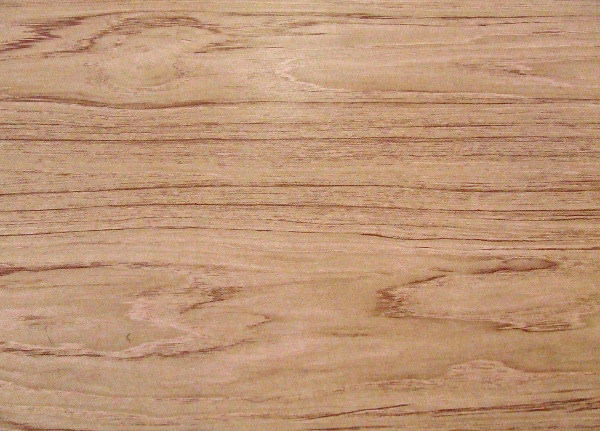 Light Wood Grain Texture
