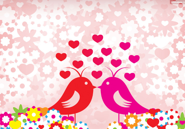 Love Birds Valentines Day Walpaper