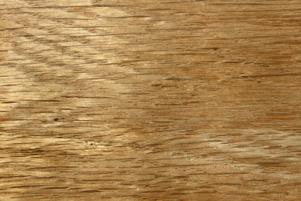 Oak Wood Grain Texture