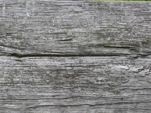 Old White Wood Texture