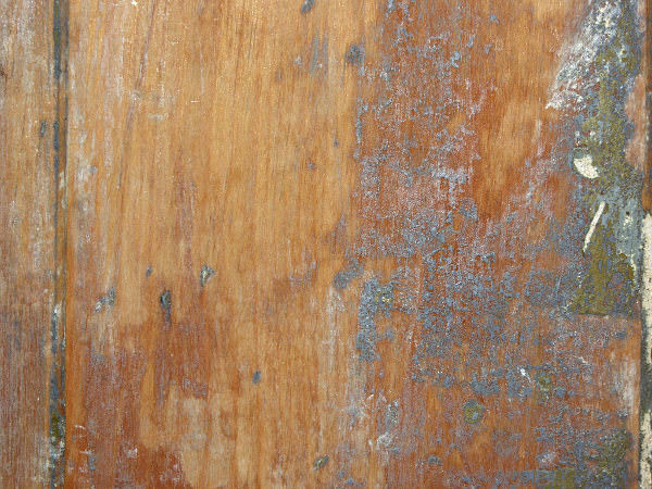 Old Wood Door Texture
