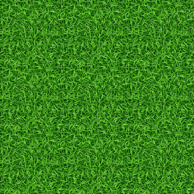 Seamless Grass Texture For Free