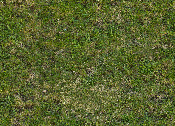 Free 16 Tileable Grass Texture Designs In Psd Vector Eps