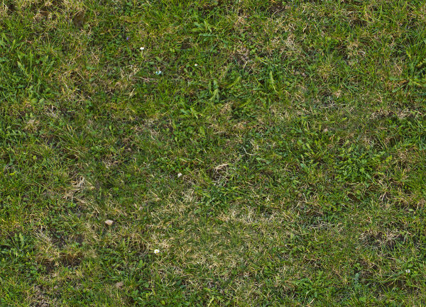 Appling Texture-Grass – Architectural Visualisation/ Cinema 4D