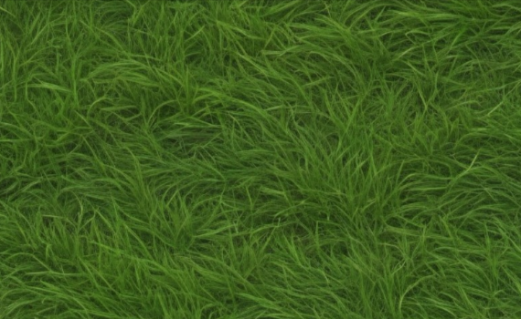 Seamless Top Down Grass Texture