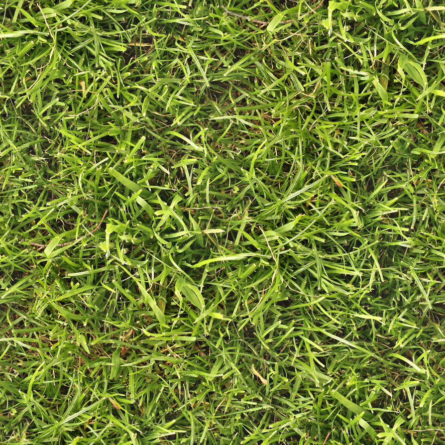 Seamless grass texture