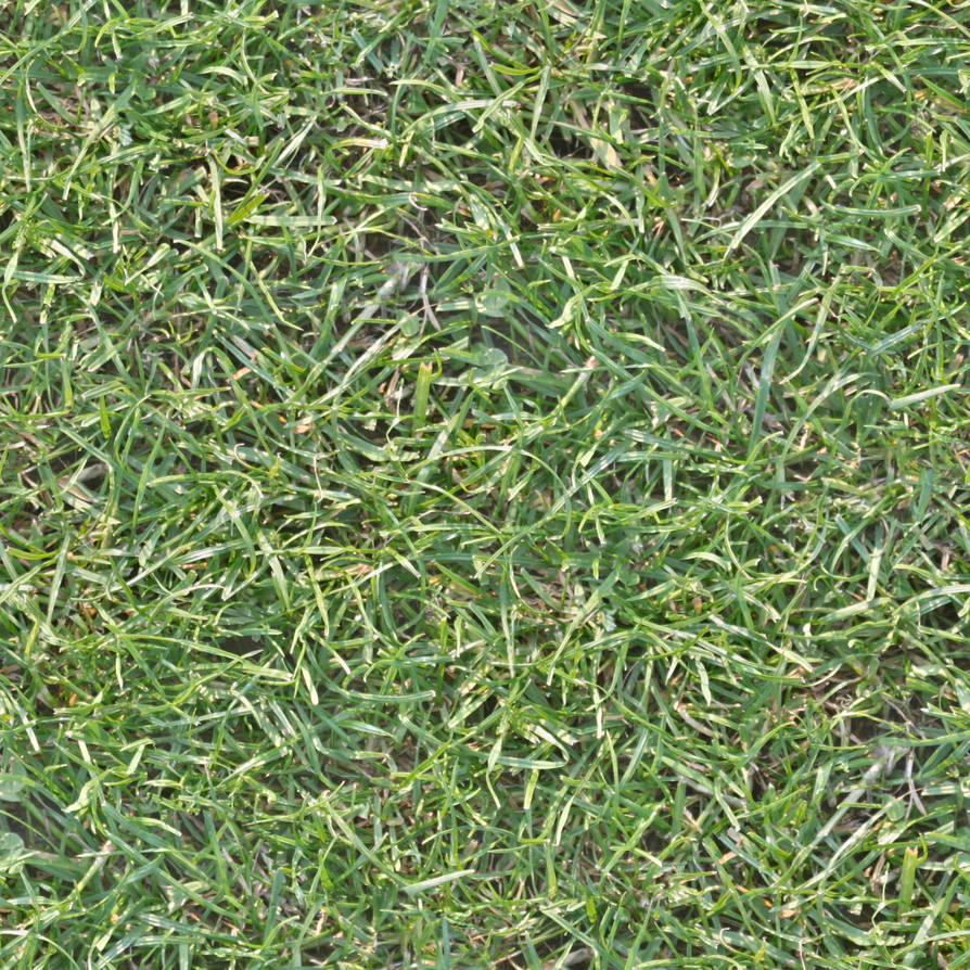 Seamless high res grass texture