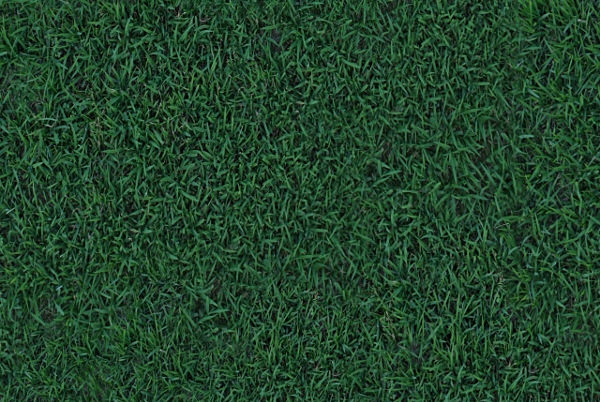 seamless grass texture tiles