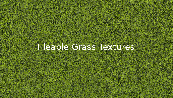 34,411 Sketch grass texture 图片、库存照片和矢量图| Shutterstock