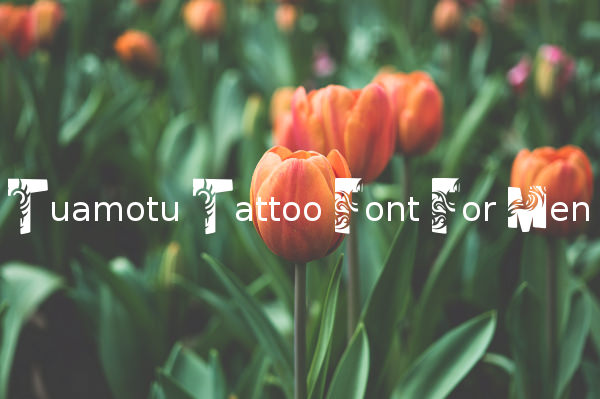 Tuamotu Tattoo Font For Men
