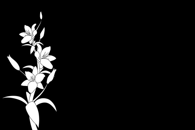 black background with white design