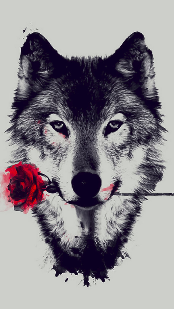Wolf With Rose iPhone 5s Background