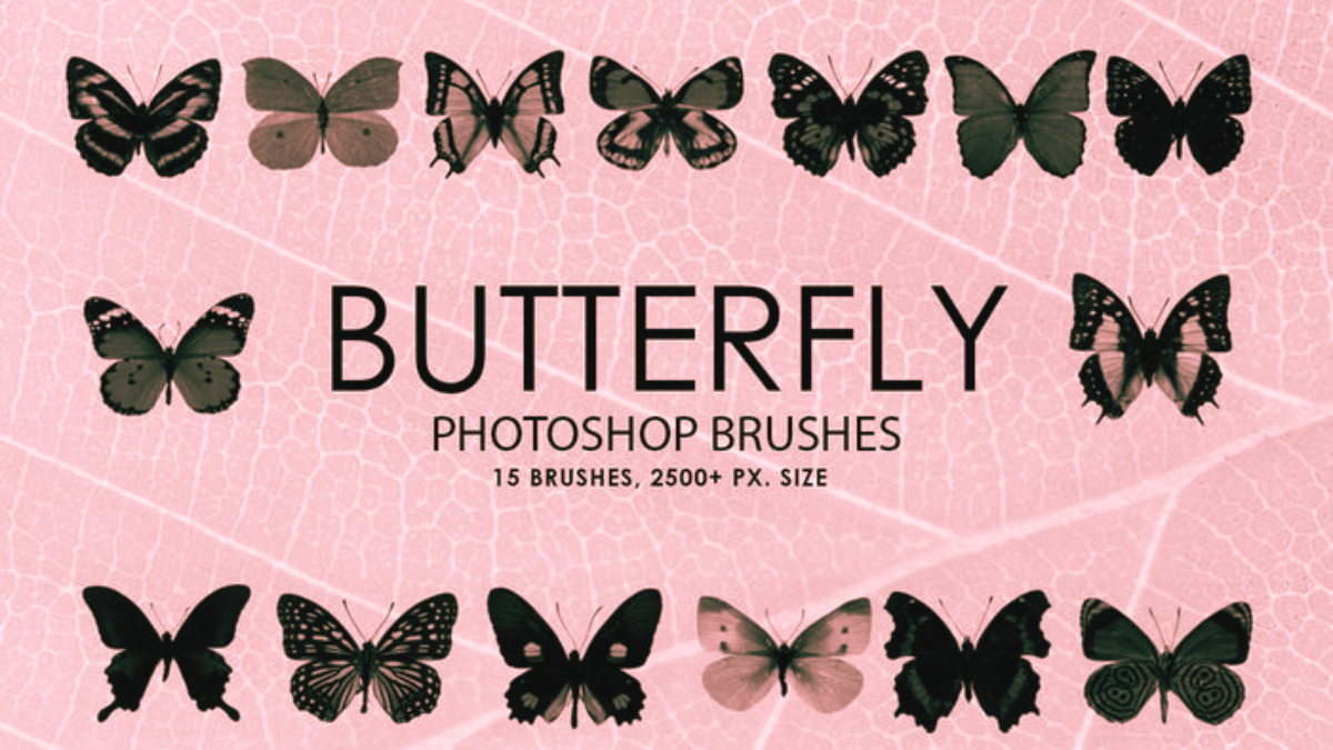 15 Butterfly Photoshop Brushes Collection