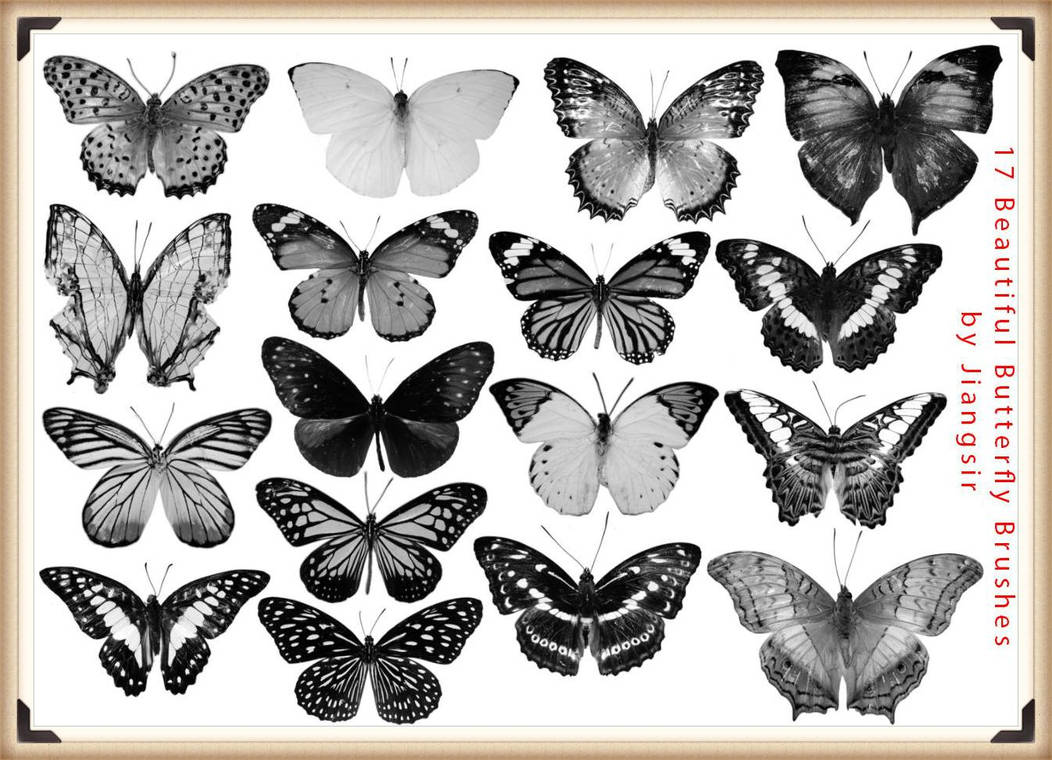 17 Retro Beautiful Butterfly Brushes for Photoshop