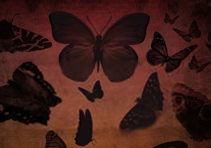 20 Butterfly Photoshop Brushes